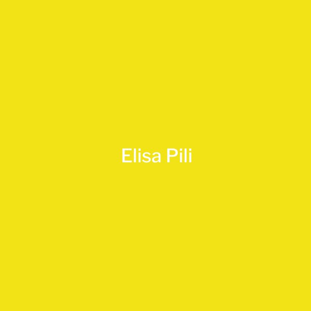 Opera d'arte donata da Elisa Pili