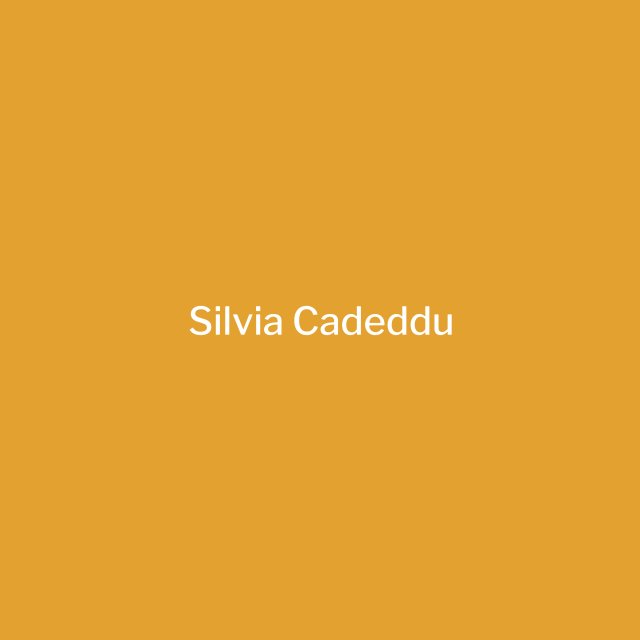 Opera d'arte donata da Silvia Cadeddu