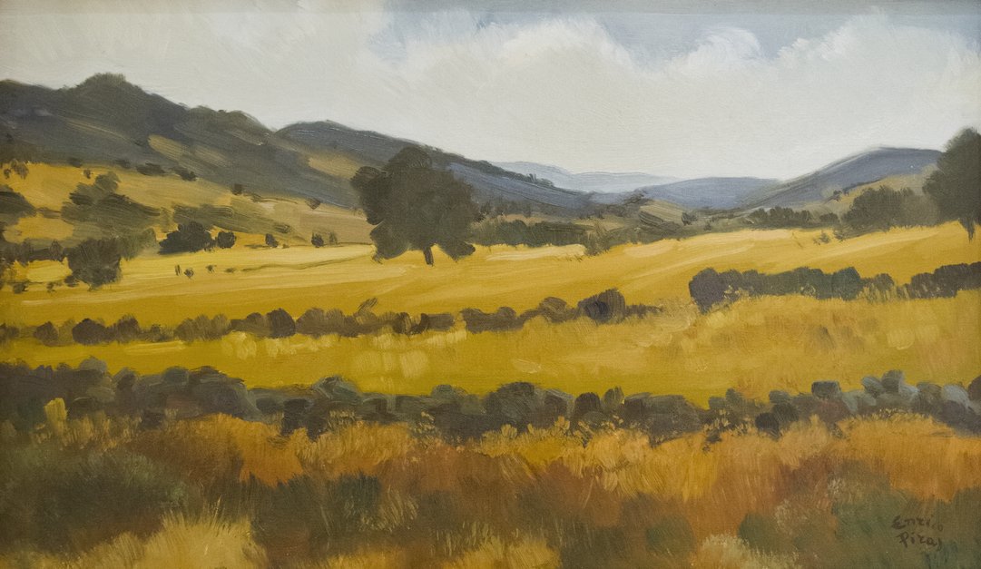 Campagna olzaese