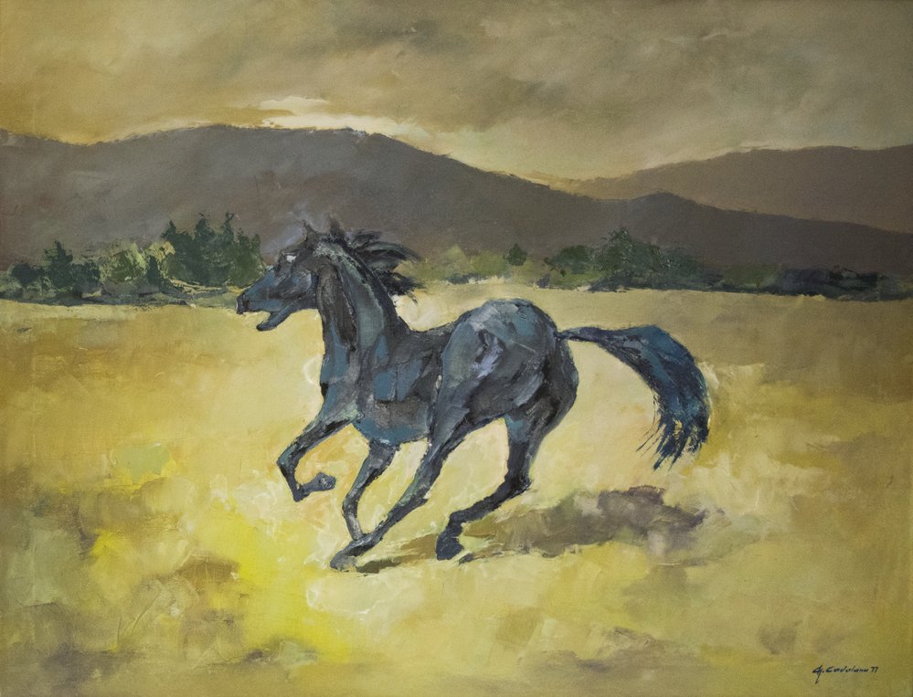 Cavallo imbizzarrito